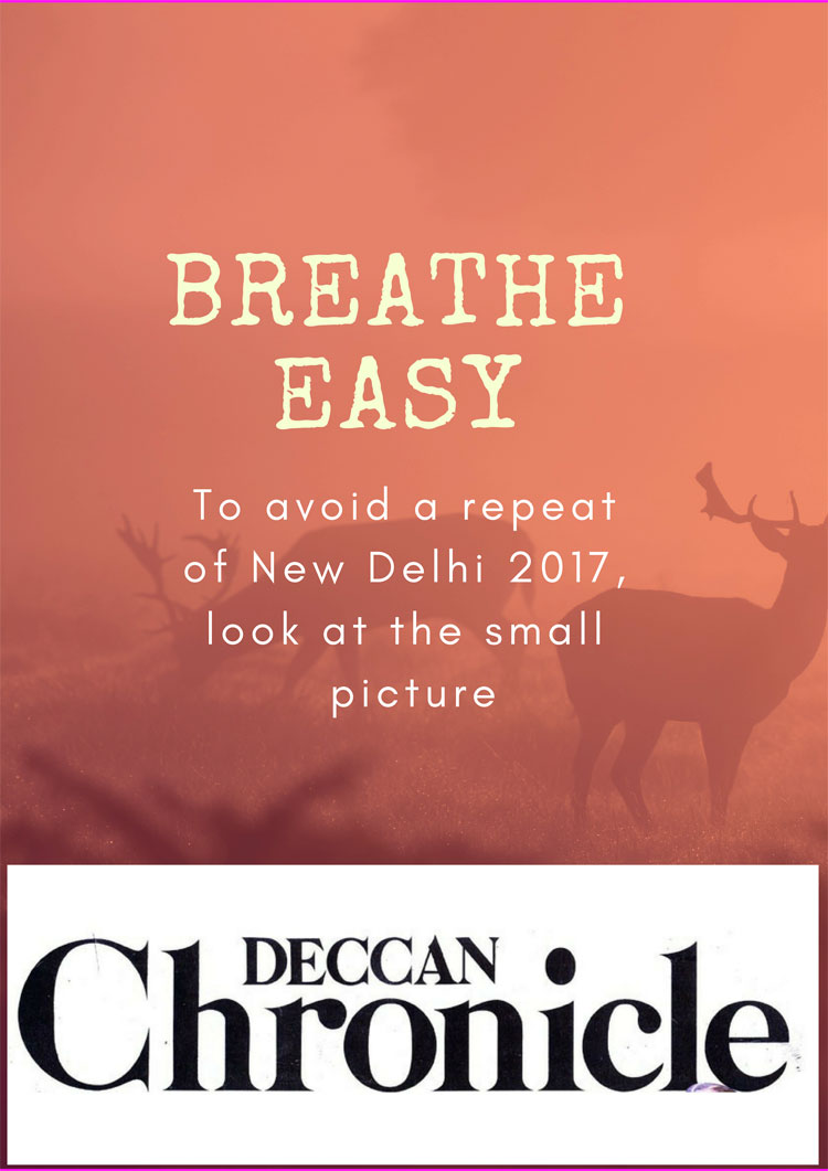 Breathe Easy: To Avoid a Repeat of New Delhi 2017, Look at the Small Picture