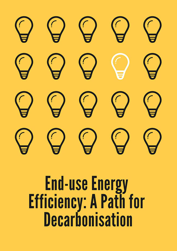 End-use Energy Efficiency: A Path for Decarbonisation