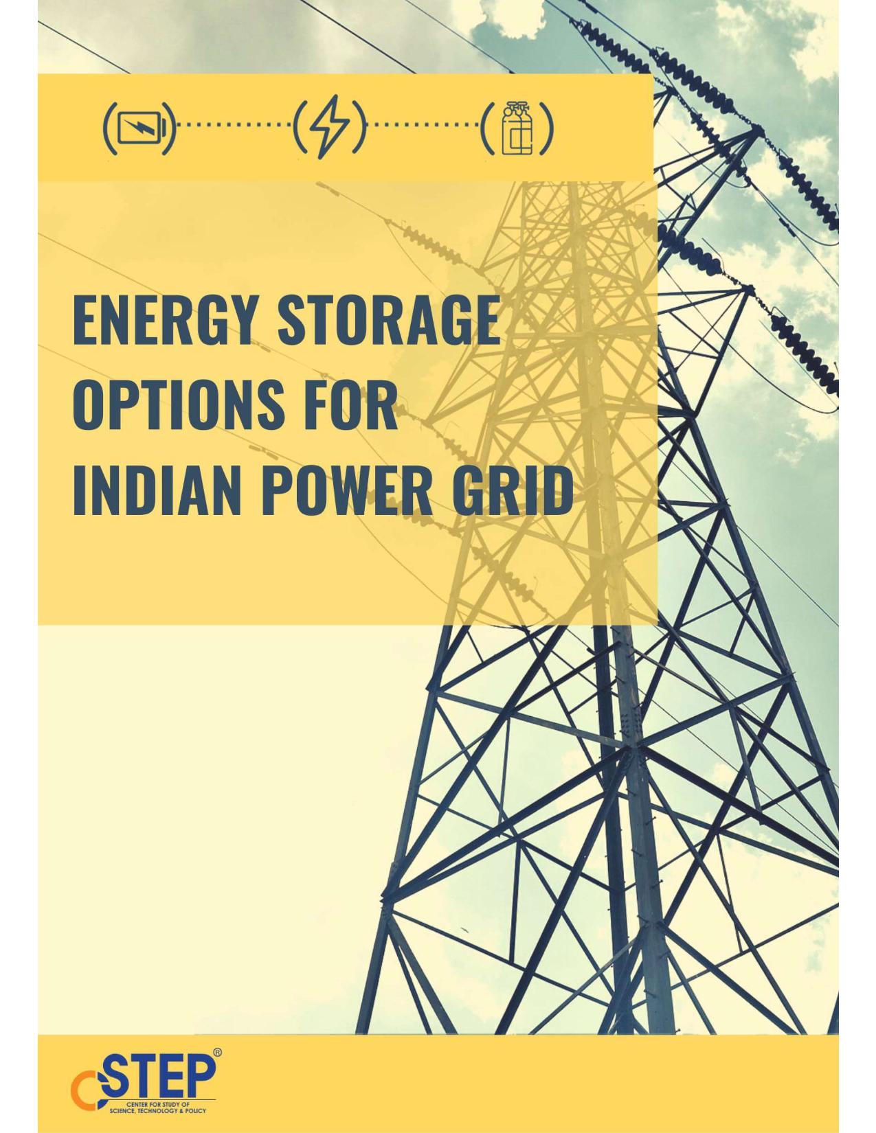 Energy Storage Options for Indian Power Grid