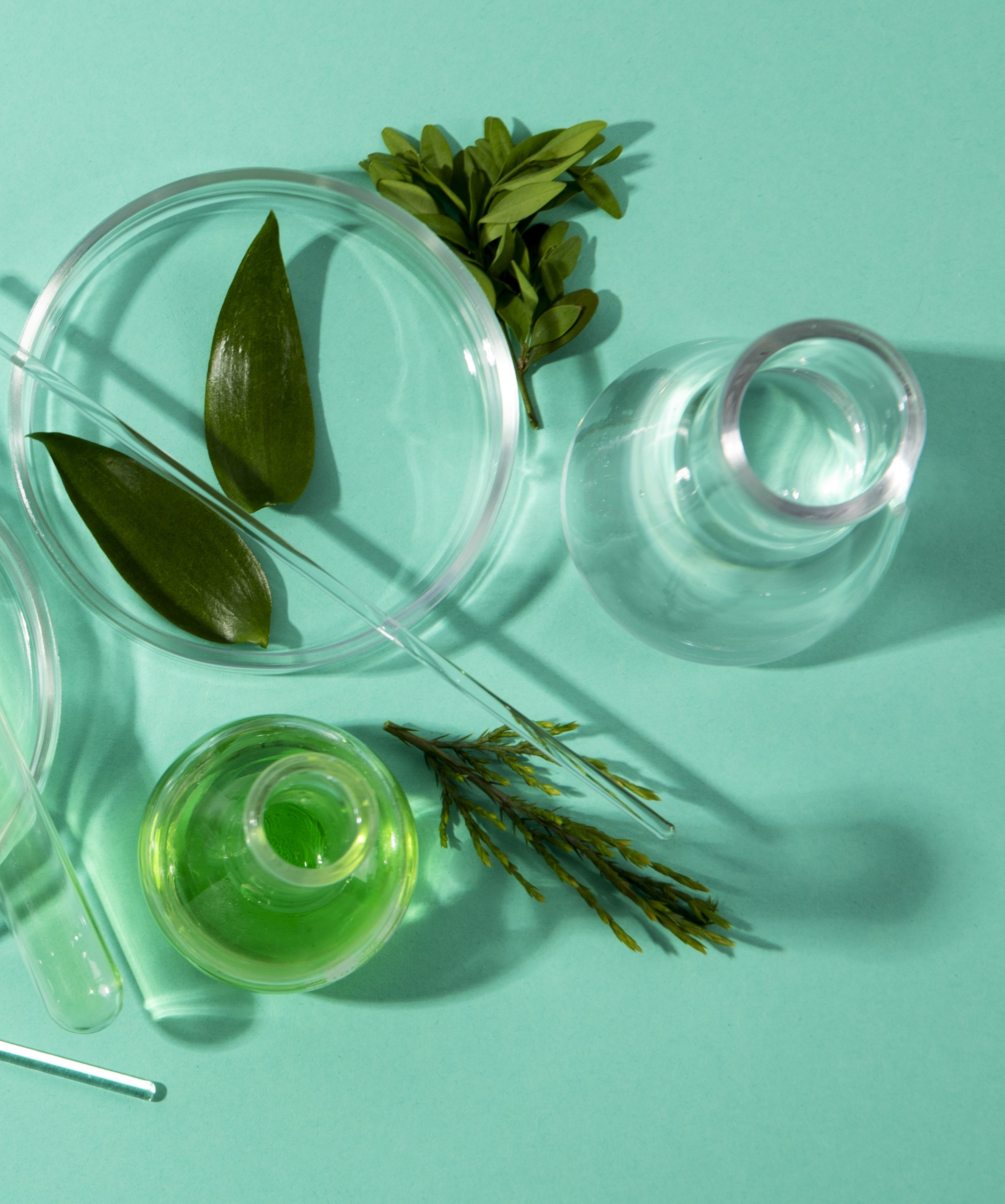 Sustainable biomanufacturing: Key to India's green transition