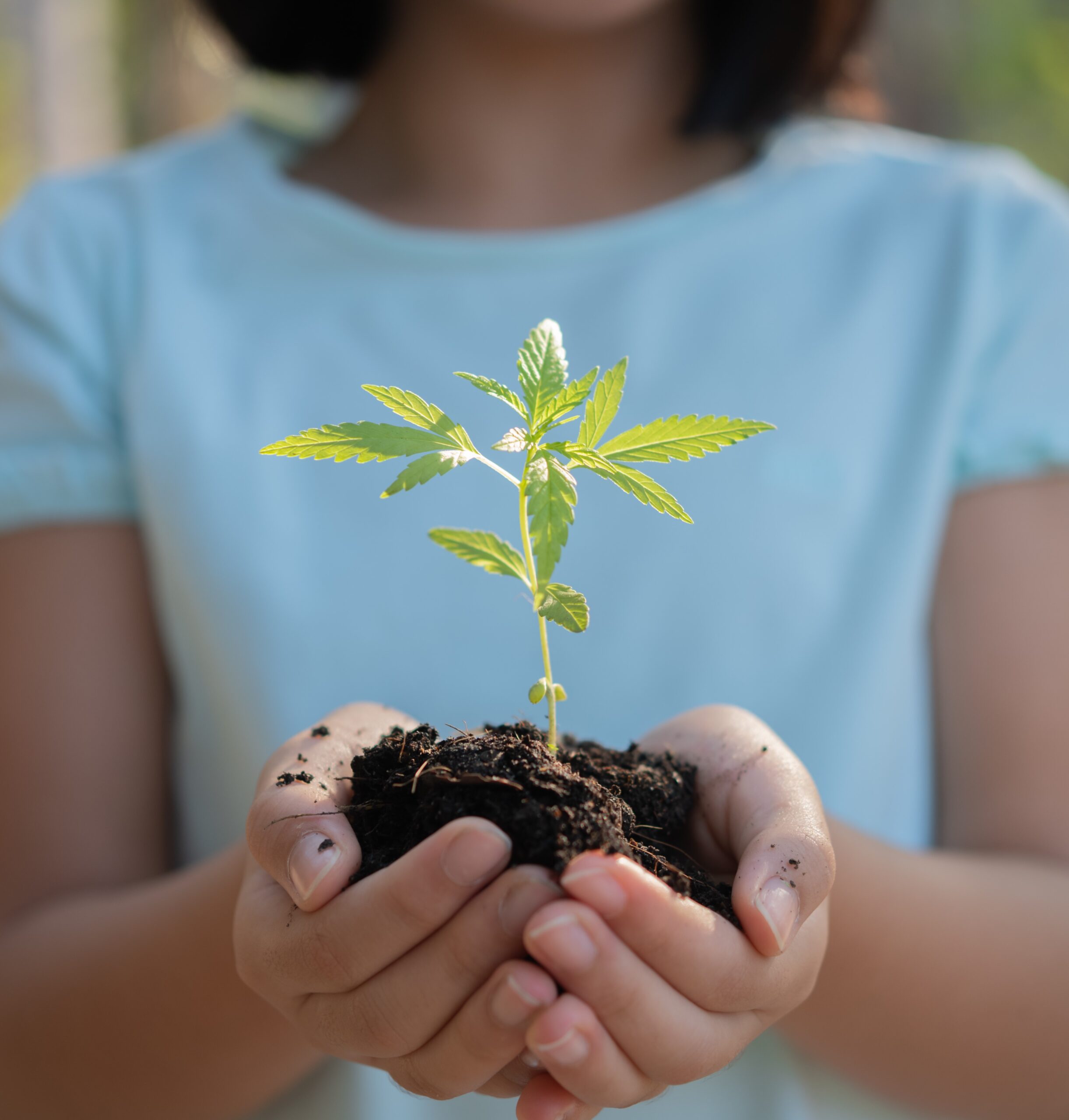 It’s Time to Feed Our Soil
