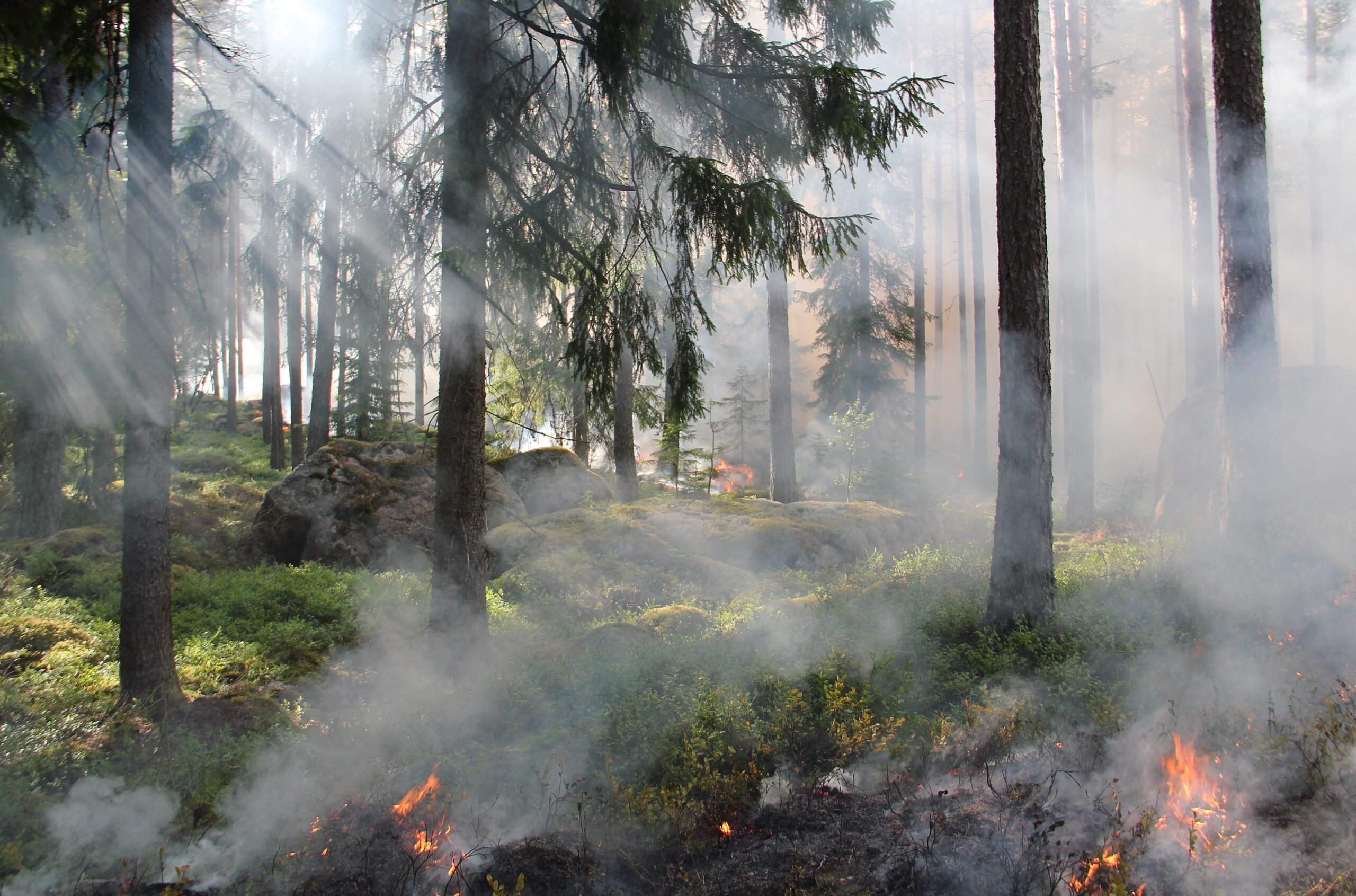 Press Release – ‘We need to look beyond stubble burning to improve air quality’